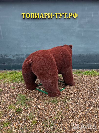 Садовые фигуры Топиари Топиарные фигуры