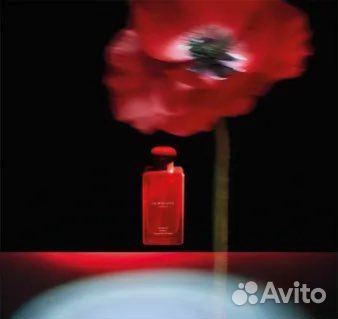 Jo malone scarlet poppy