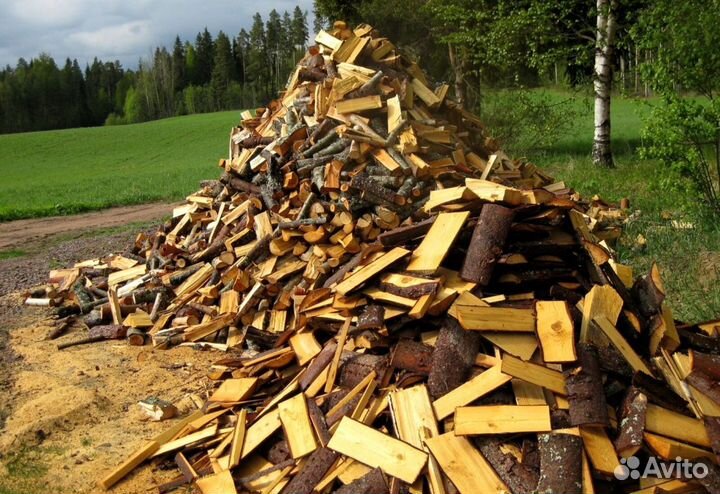 Кора березы