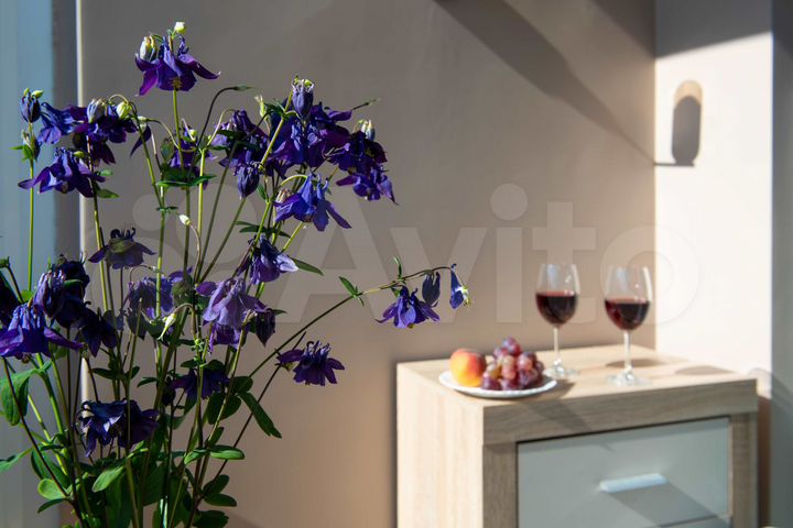 Квартира-студия, 23,7 м², 7/7 эт.