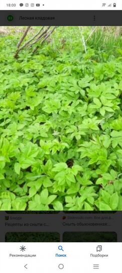 Участок 8 сот. (ИЖС)