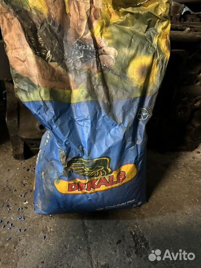 Семена подсолнечника Dekalb