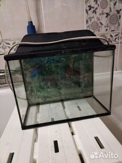 Аквариум