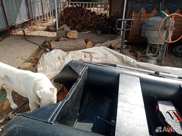 Продажа лодки дельфин