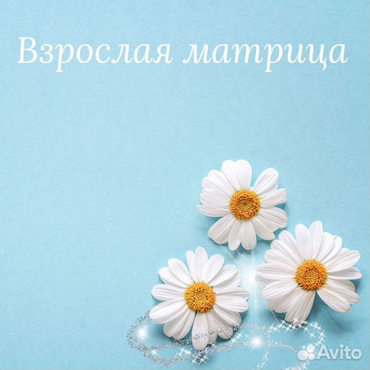 Матрица судьбы