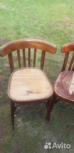 Стул венский Лигна