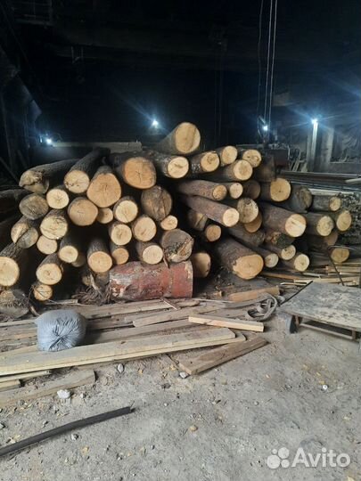 Липа необрезная сухая