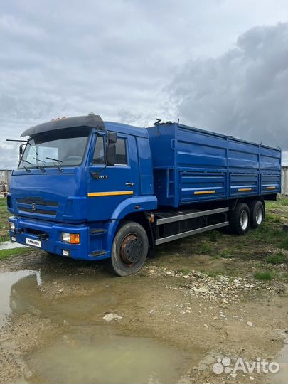 КАМАЗ 65117-N3, 2010