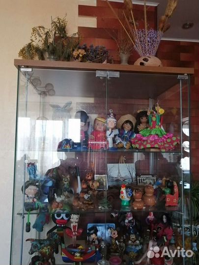 Стеллаж-ветрина