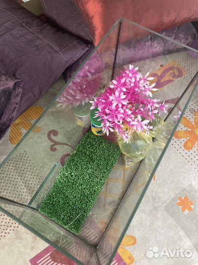 Аквариум для черепахи