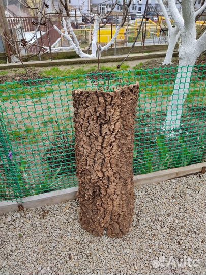 Кора пробкового дуба прямые куски