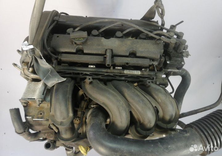 Hwda Двигатель Ford Focus II, 1.6 л, с гарантией