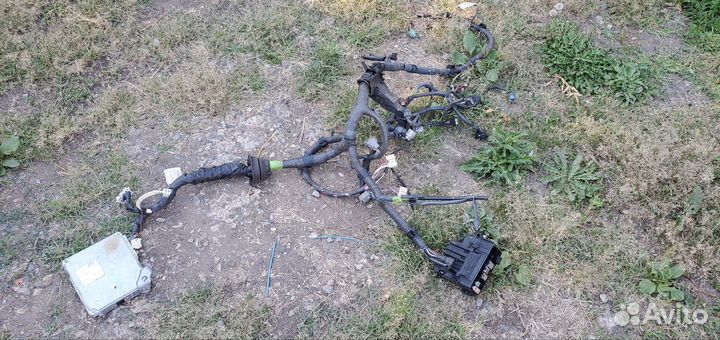 Проводка камри 2.4