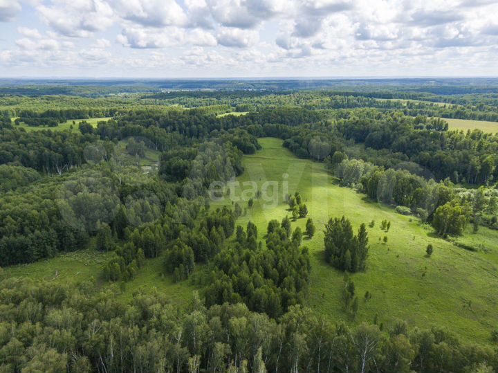 Участок 131,44 га (СНТ, ДНП)