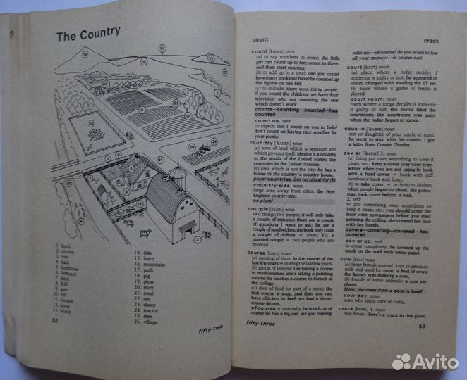 Словарь русско-американский