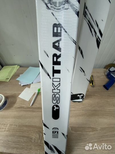 Горные лыжи фрирайд