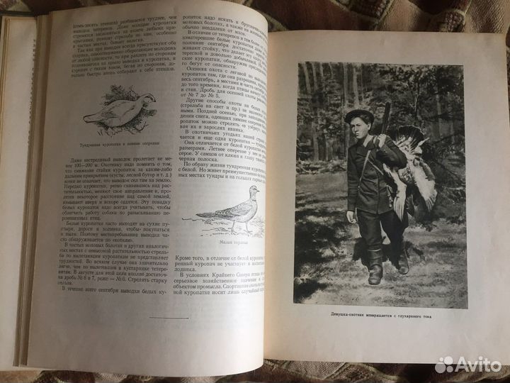 Настольная книга охотника спортсмена