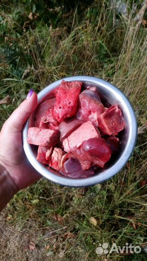 Очень вкусный и полезный Микс для собак