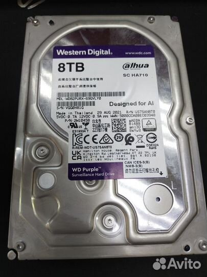 Purple WD 8tb