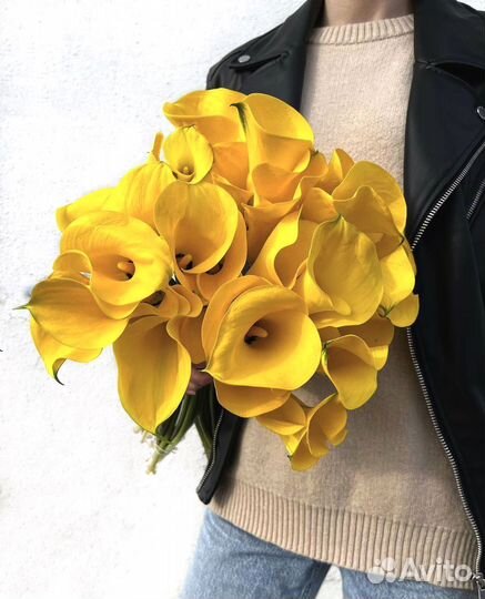 Лучшие каллы