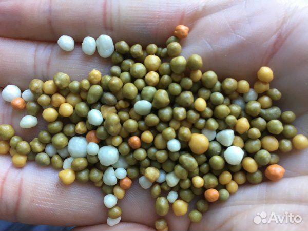 Осмокот Osmocote Pro 5-6 мес