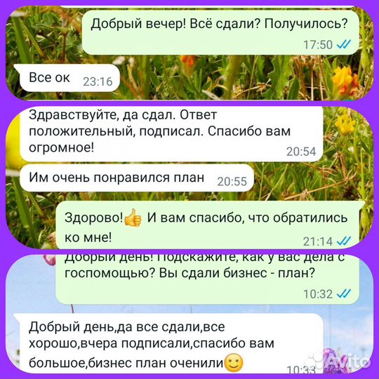 Написание бизнес плана, господдержка