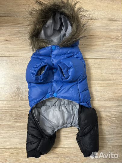 Комбинезон для маленькой собаки кобеля