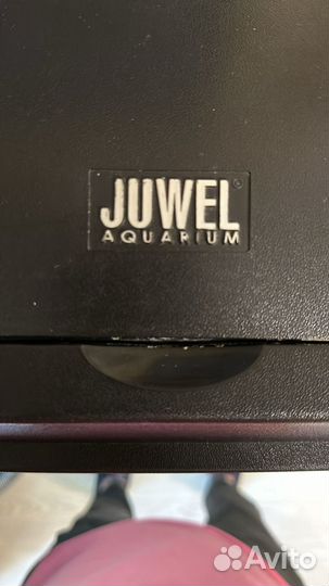 Аквариум с рыбками