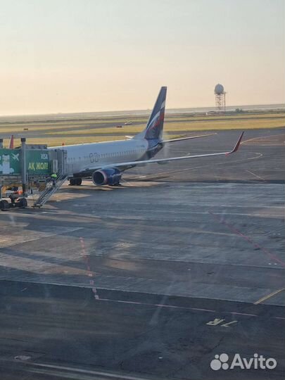 Организация поездки/отдыха