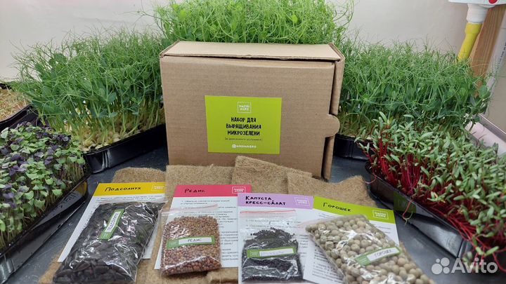 Набор для выращивания микрозелени