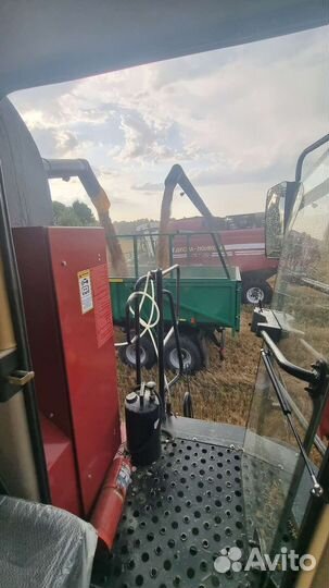 Пшеница в мешках с бесплатной доставкой