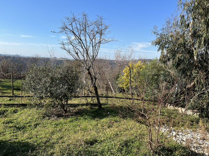 Участок 4 сот. (ИЖС)