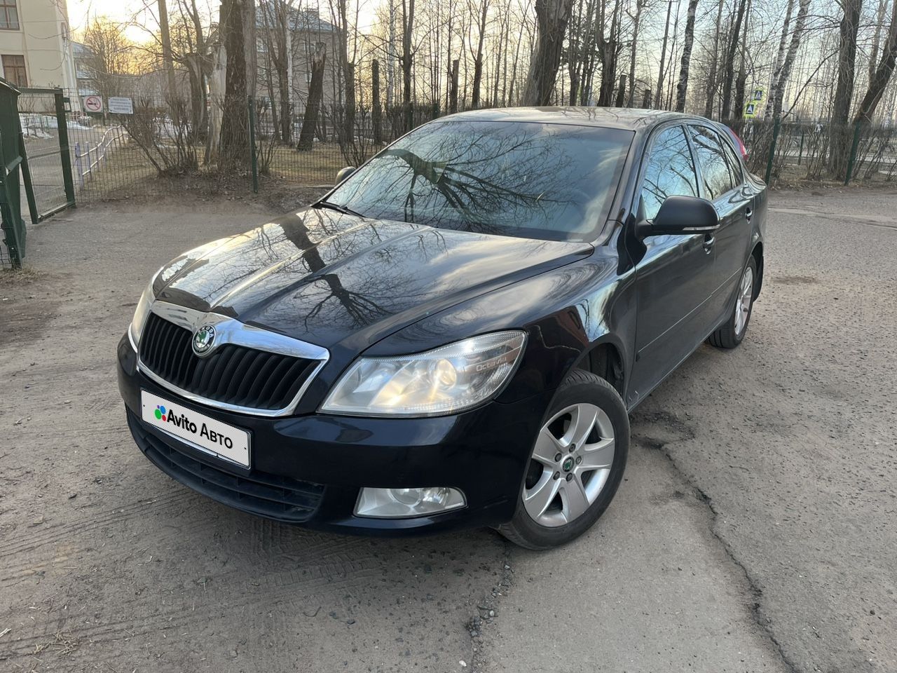 Skoda Octavia: фото владельца
