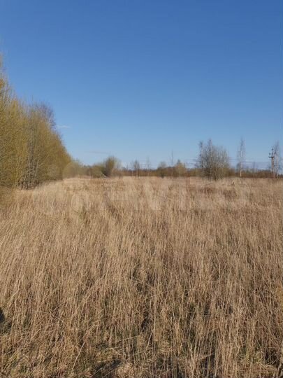 Участок 48 сот. (ИЖС)