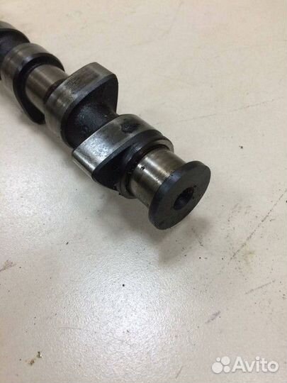 Распредвал выпускной Volkswagen Passat