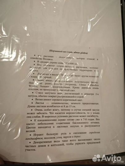 Гербарий для вузов