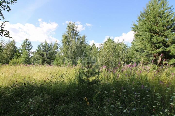 Участок 6,7 га (промназначения)