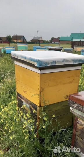 Улей для пчел бу