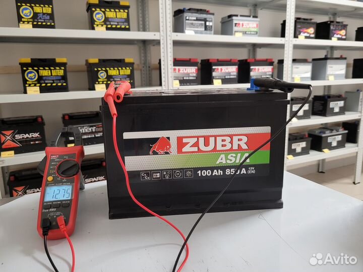 Аккумулятор zubr premium asia 100Ah п.п. 820A D31