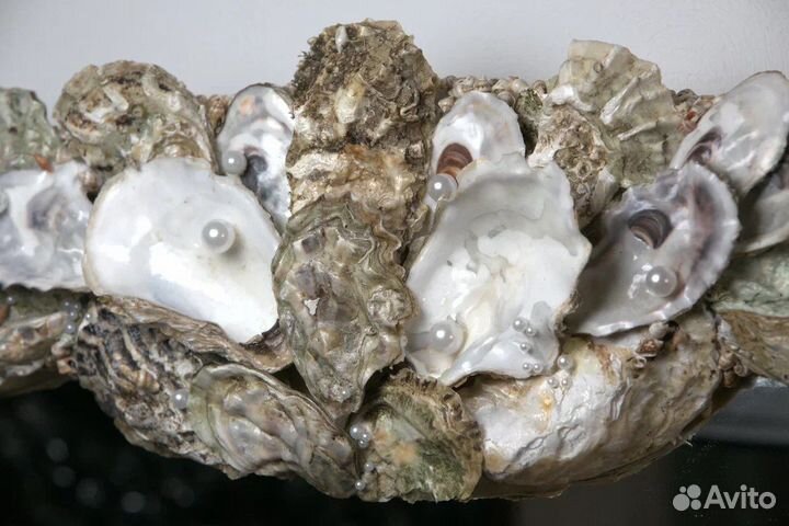 Зеркало в раме из ракушек устриц с жемчугом