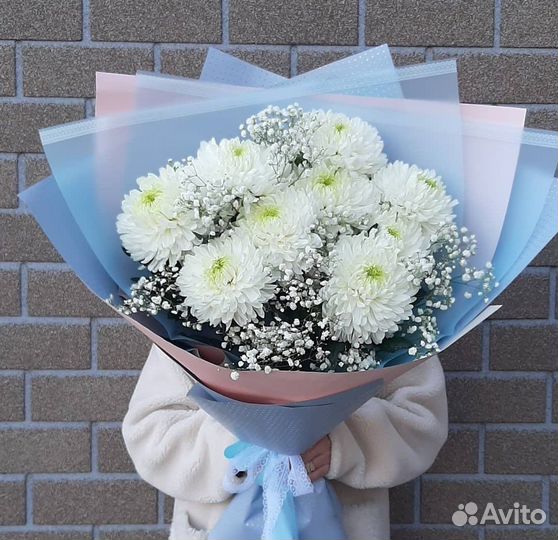 Цветы хризантема