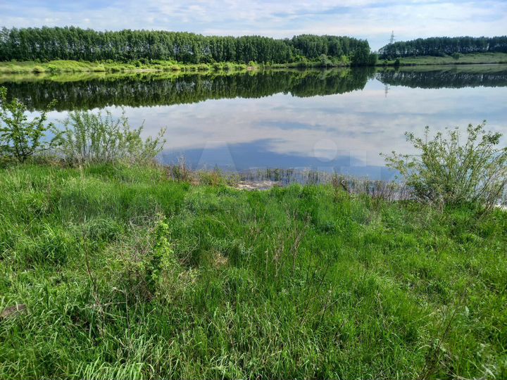 Участок 42 га (СНТ, ДНП)