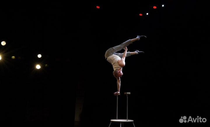 Артисты на праздник