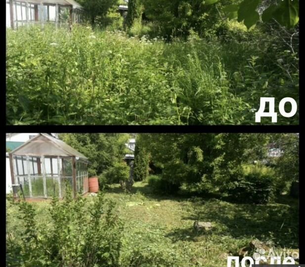 Уборка, расчистка участка. Вывоз мусора