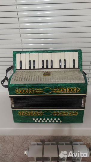 Аккордеон 
