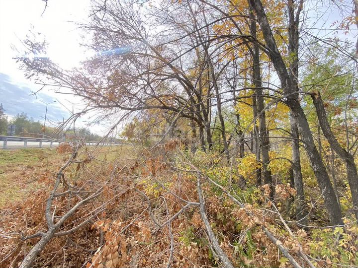 Участок 9 сот. (ИЖС)