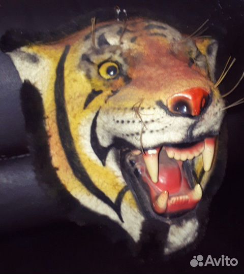 Морда тигра