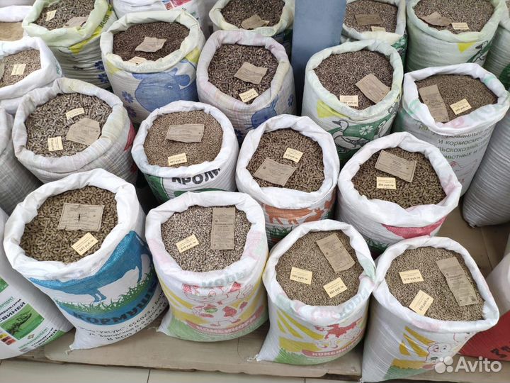 Комбикорм для кур-несушек, кормосмеси