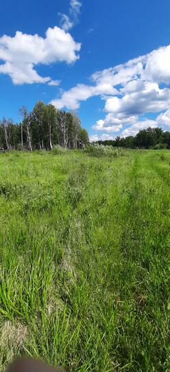 Участок 15 сот. (СНТ, ДНП)