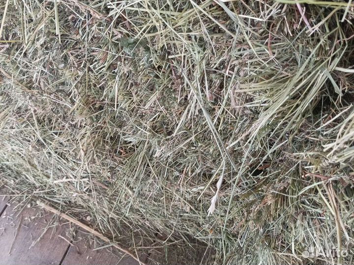 Сено в тюках